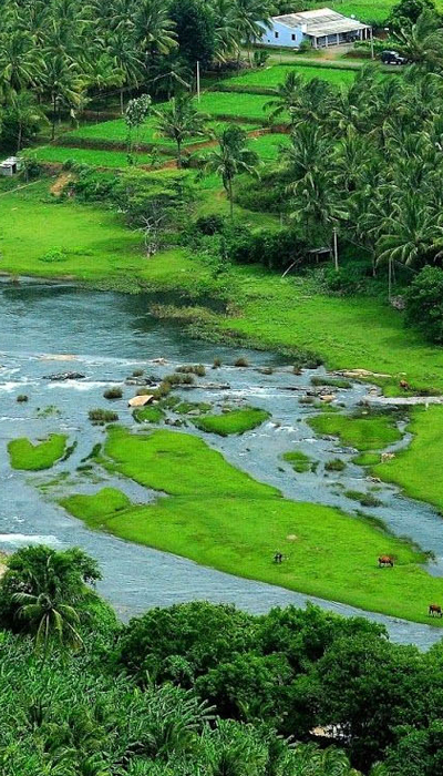 amaya river retreat anaikatti